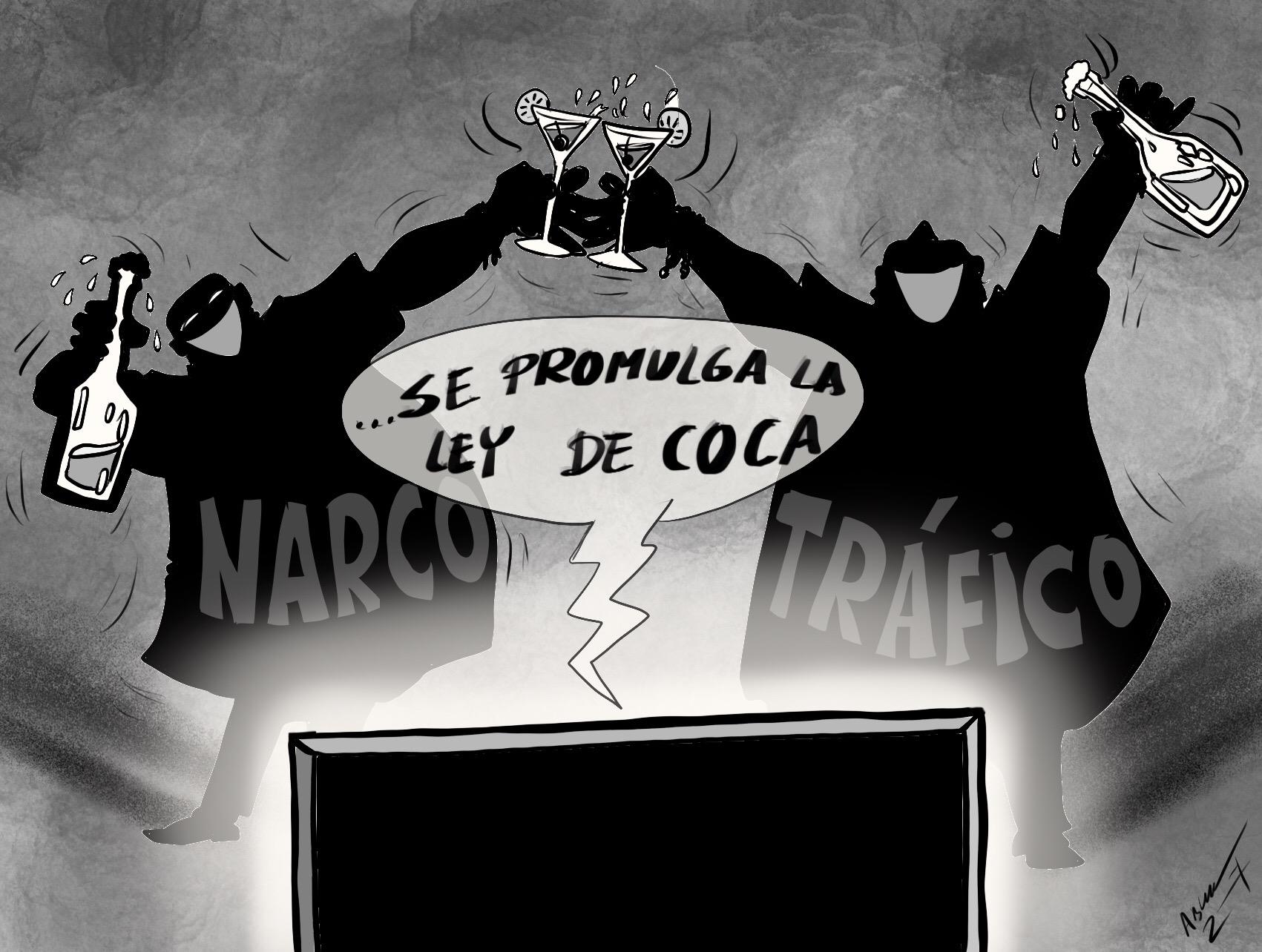 promulgacion ley de coca