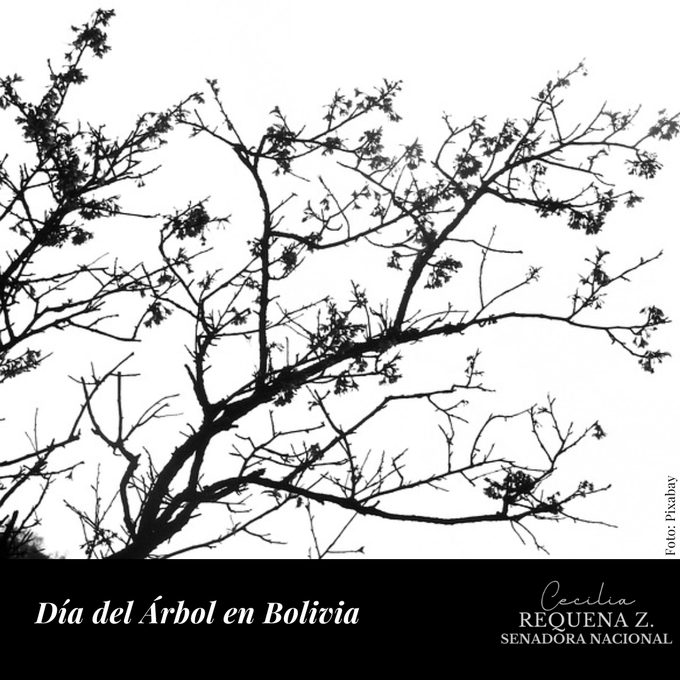 Día del árbol en Bolivia